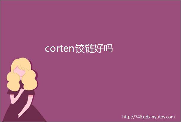 corten铰链好吗